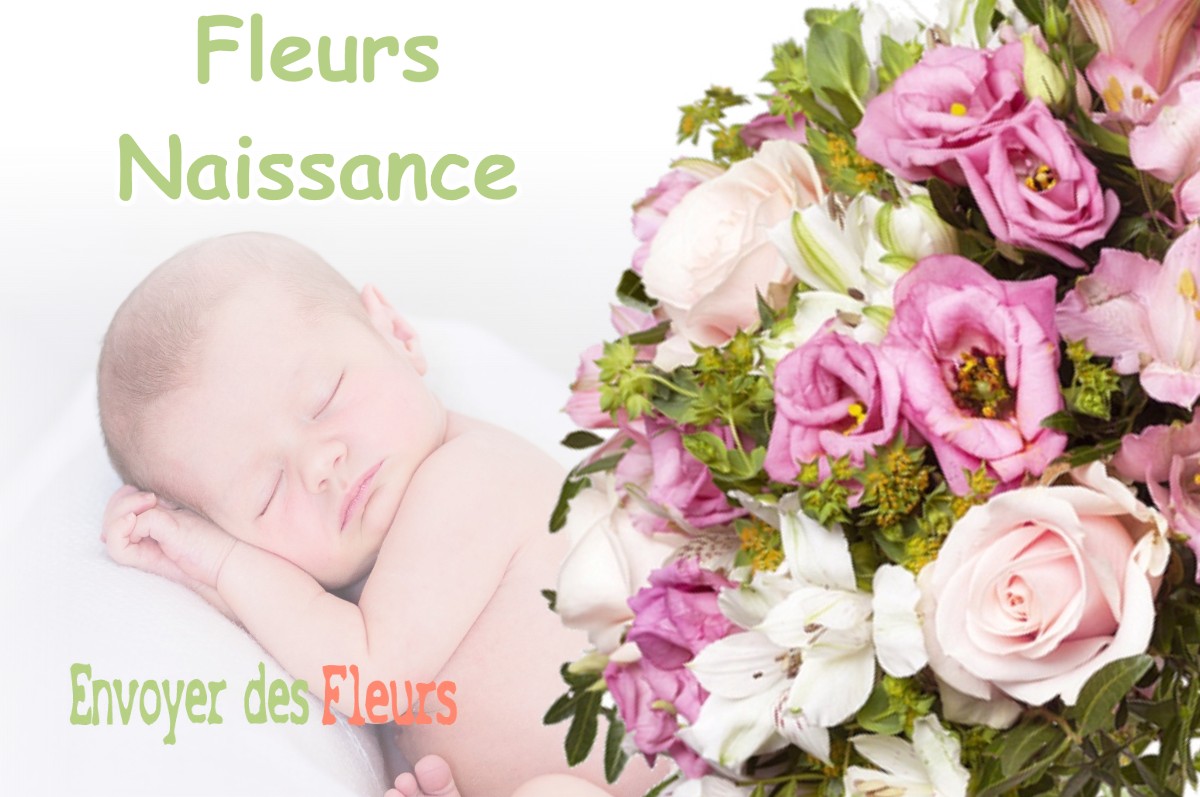 lIVRAISON FLEURS NAISSANCE à VOID-VACON